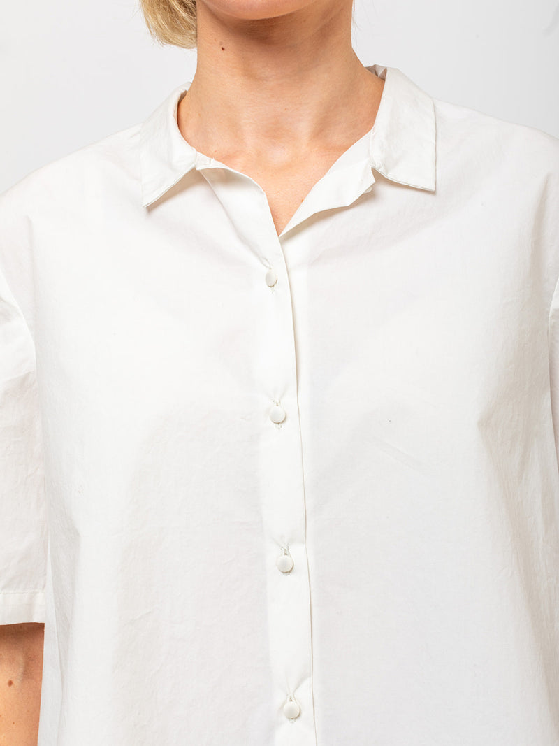 Apuntob - Short Sleeve Shirt with Back Pleats - Milk - Verdalina